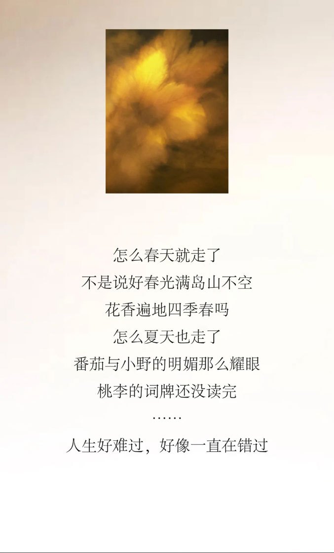 怎么春天就走了？不是说好春光满岛山不空，花香遍地四季春吗？怎么夏天也走了，番茄与小野的明媚那么耀眼，桃李的词牌还没读完。人生好难过，好像一直在错过。